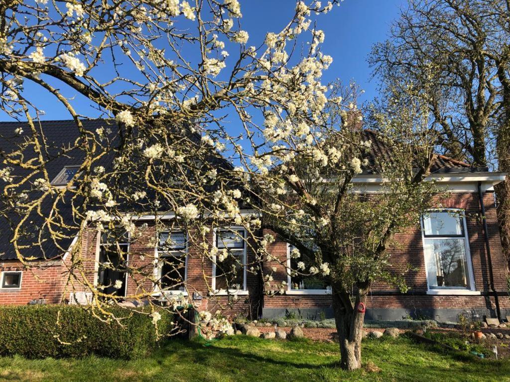 Bed and Breakfast Onder De Boom Gerkesklooster Екстер'єр фото