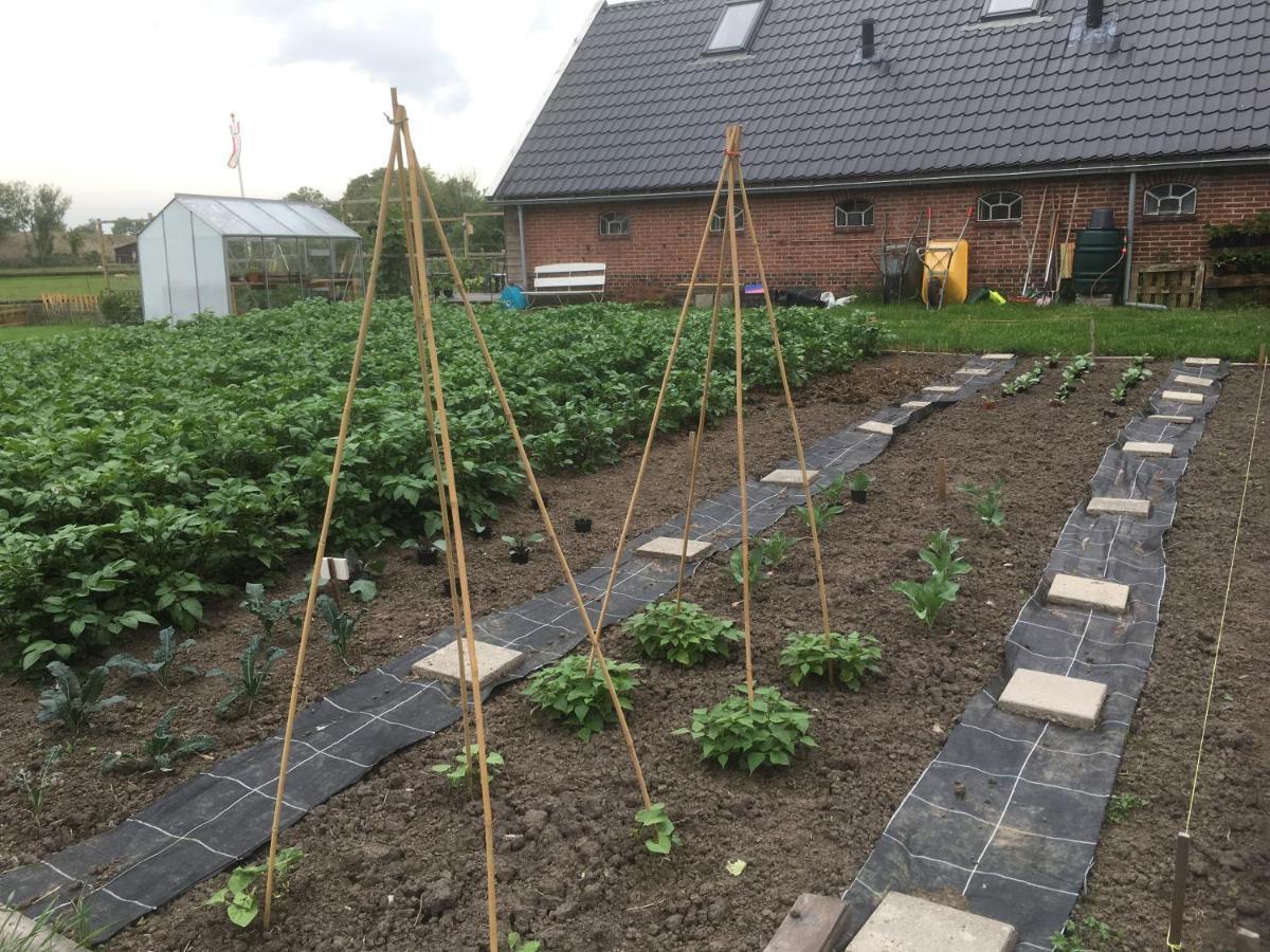 Bed and Breakfast Onder De Boom Gerkesklooster Екстер'єр фото